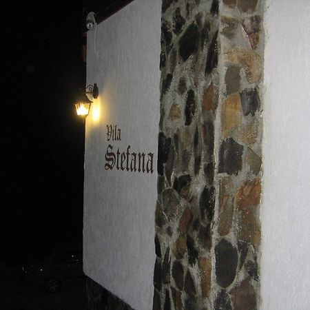 Vila Stefana Păltiniş מראה חיצוני תמונה
