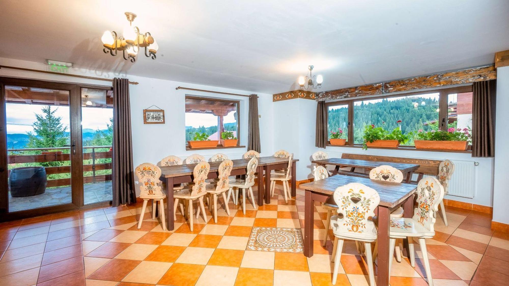 Vila Stefana Păltiniş מראה חיצוני תמונה