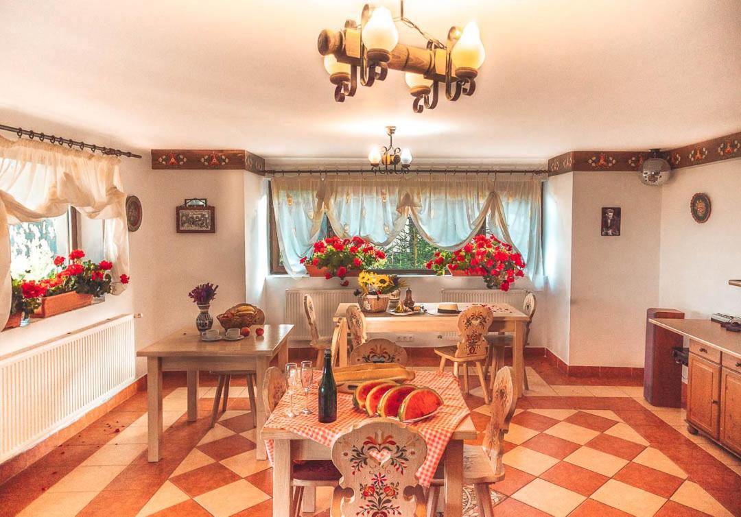 Vila Stefana Păltiniş מראה חיצוני תמונה