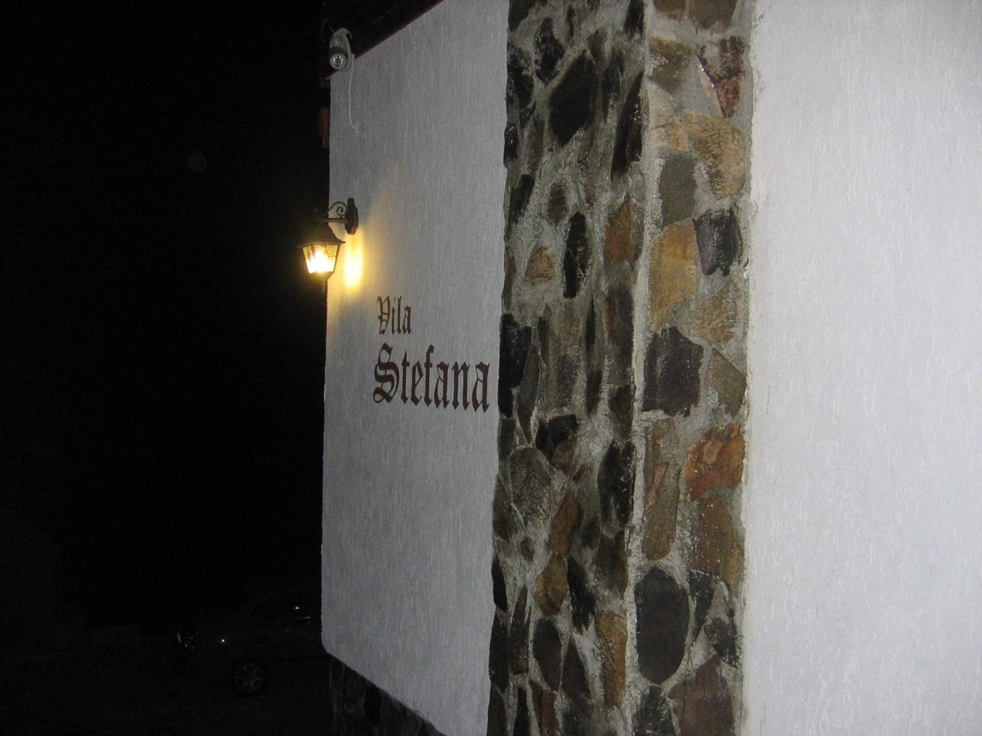 Vila Stefana Păltiniş מראה חיצוני תמונה